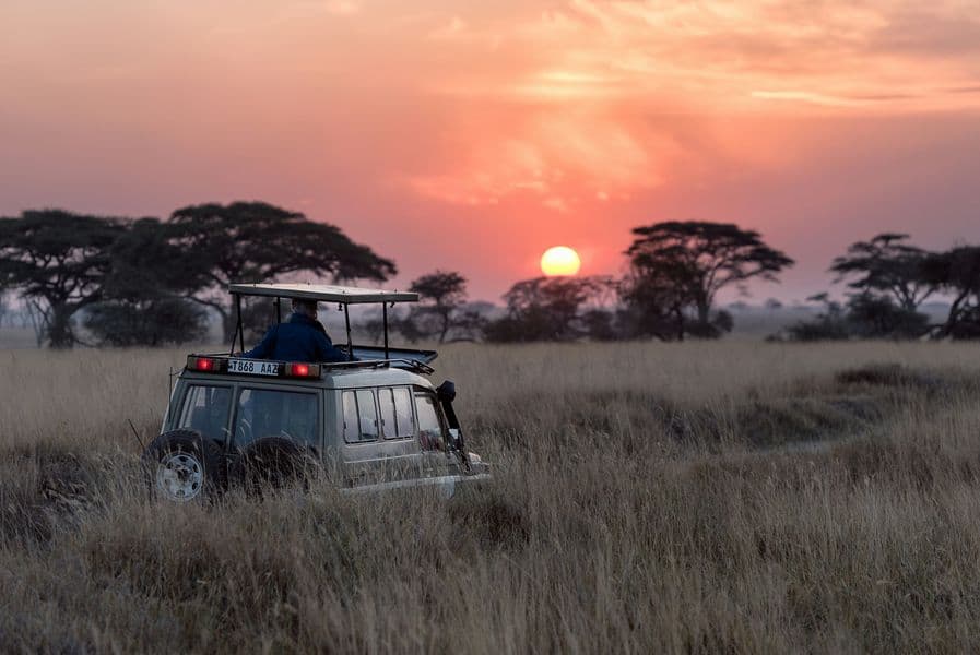 6-Night A Kenyan Safari (Superior)
